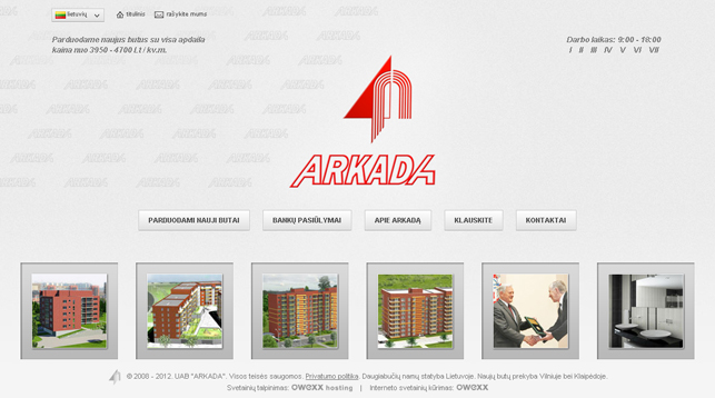 Осуществляя проект ARKADA.LT